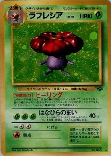 旧裏 第2弾『ポケモンジャングル』 - VALUABLE CARD TOKYO