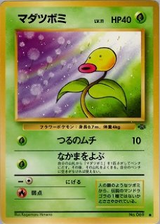 旧裏 第2弾『ポケモンジャングル』 - VALUABLE CARD TOKYO