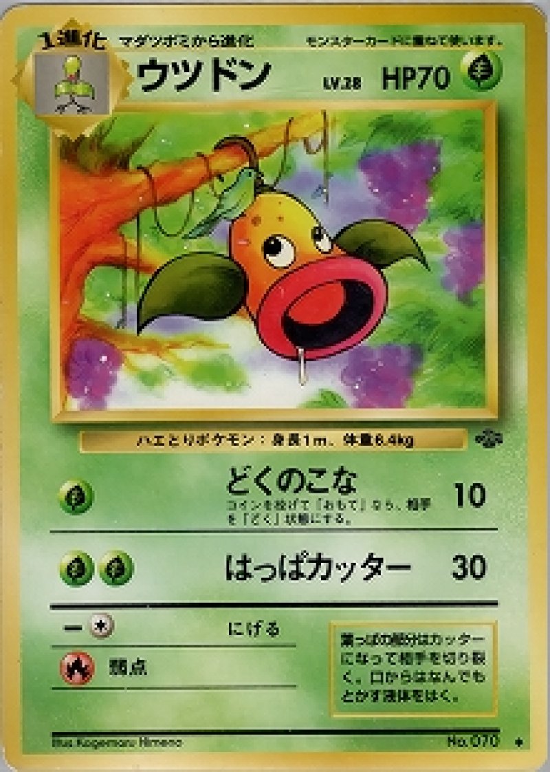 画像1: ウツドン 旧裏 (1)