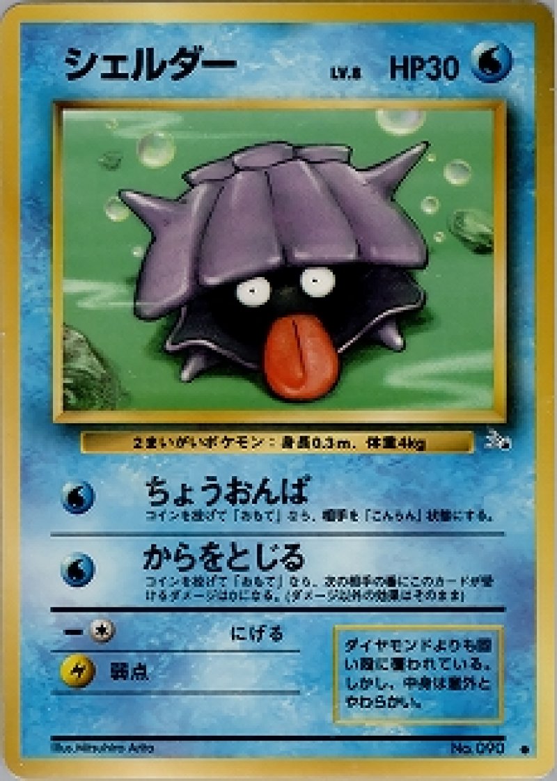 画像1: シェルダー (1)