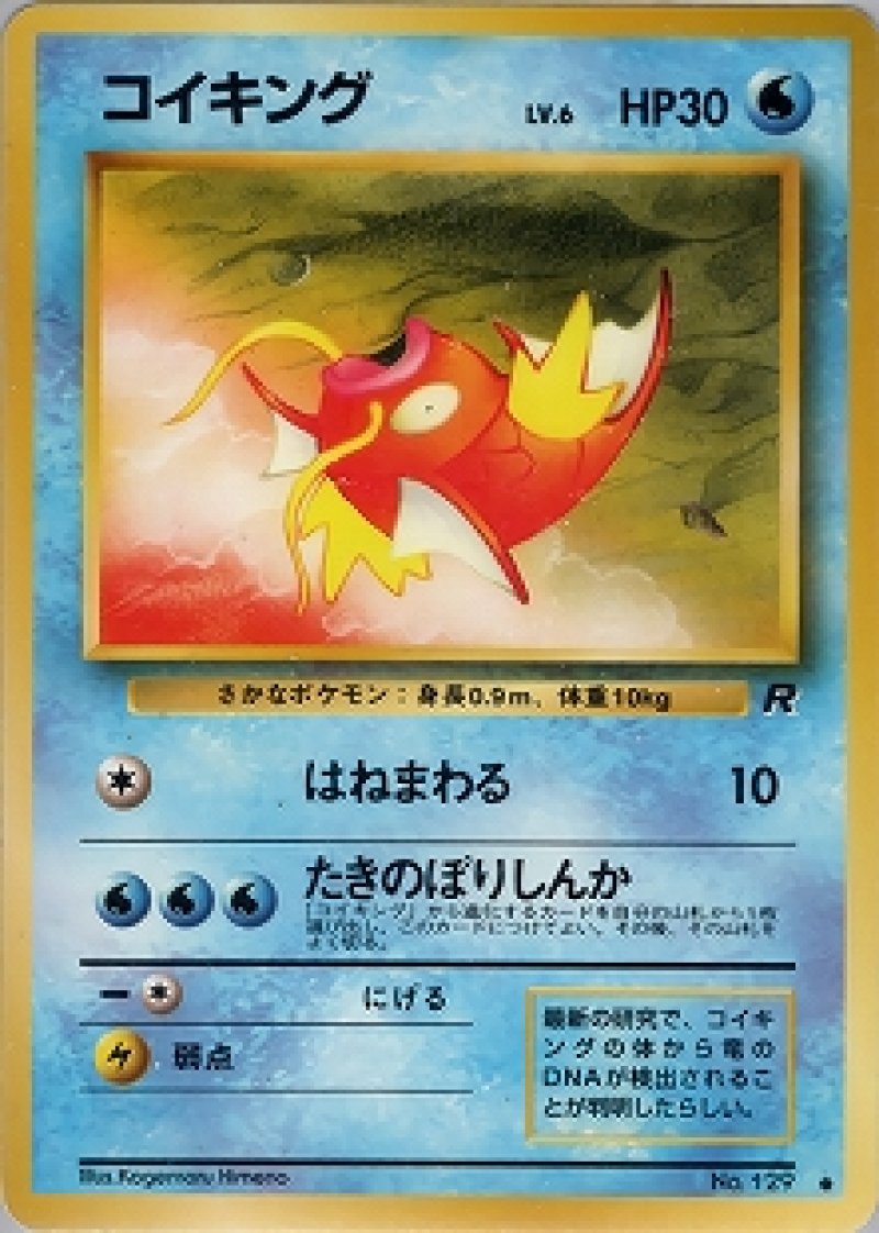 画像1: コイキング (1)