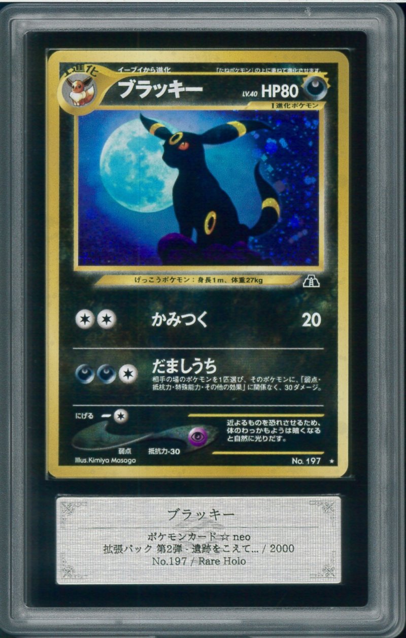 画像1: 【ARS10】ブラッキー (1)