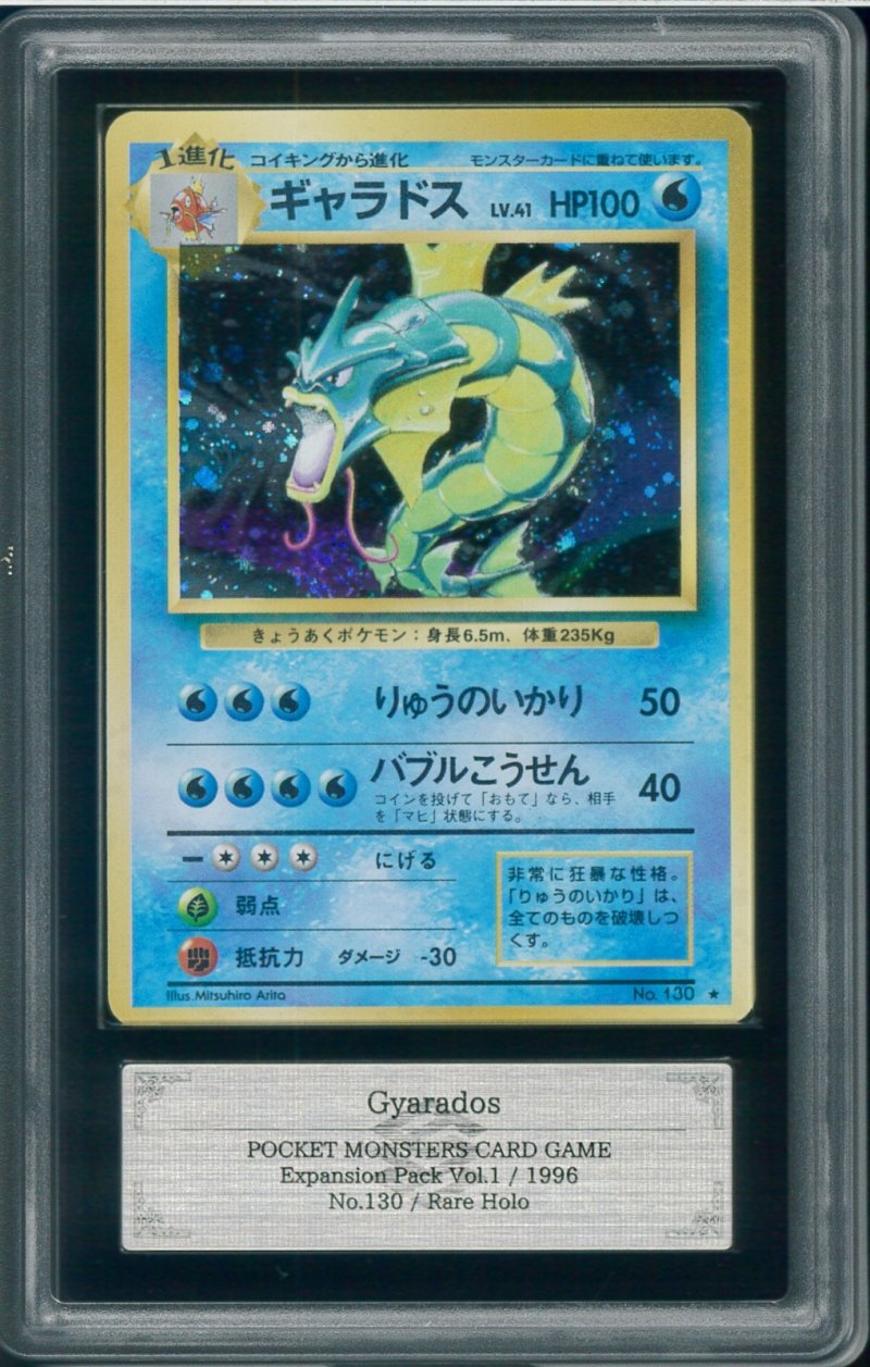 画像1: 【ARS10】ギャラドス (1)