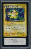 画像1: 【ARS10】わるいデンリュウ (1)