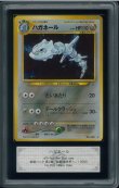 画像1: 【ARS10】ハガネール (1)