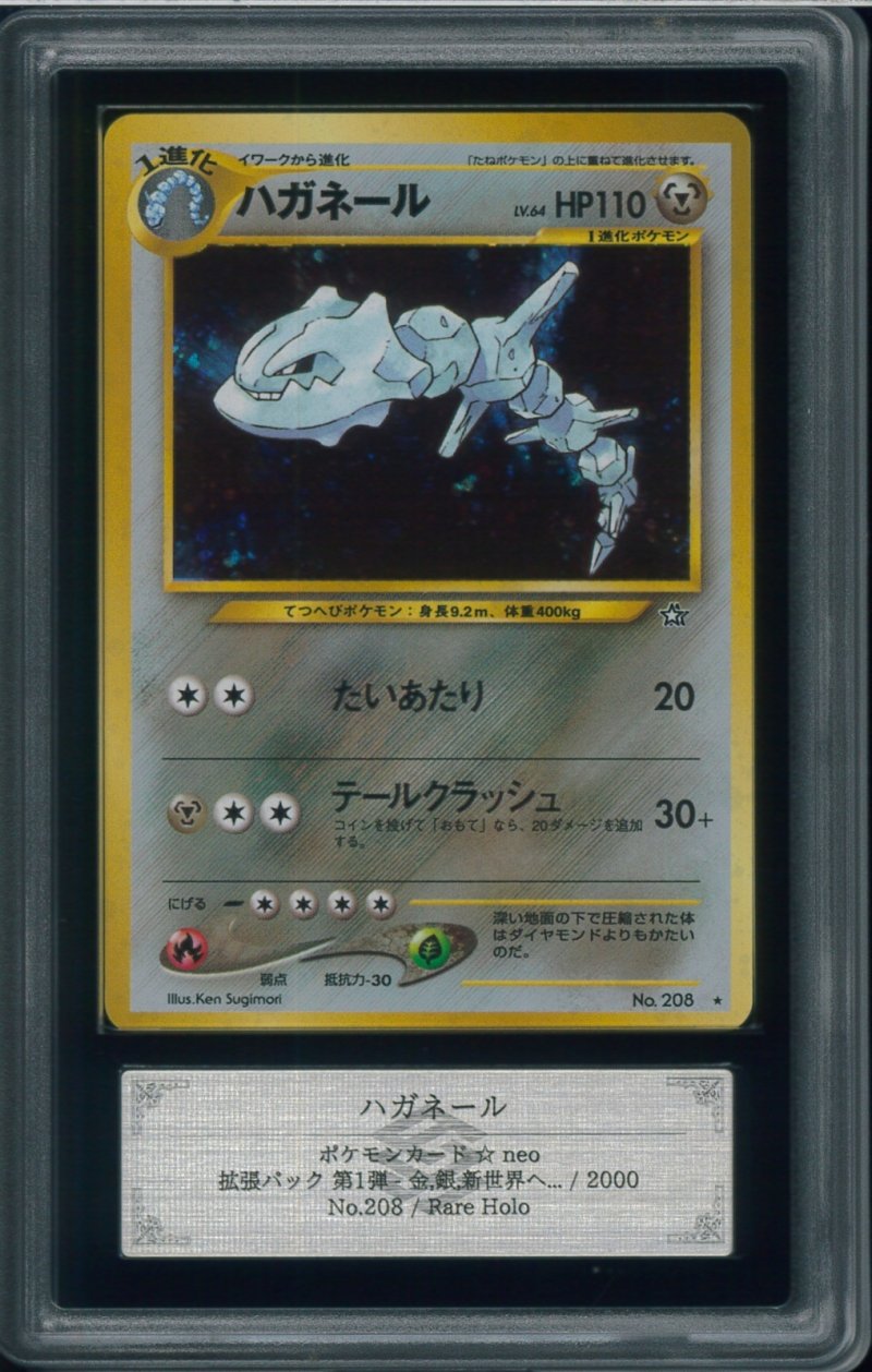 画像1: 【ARS10】ハガネール (1)