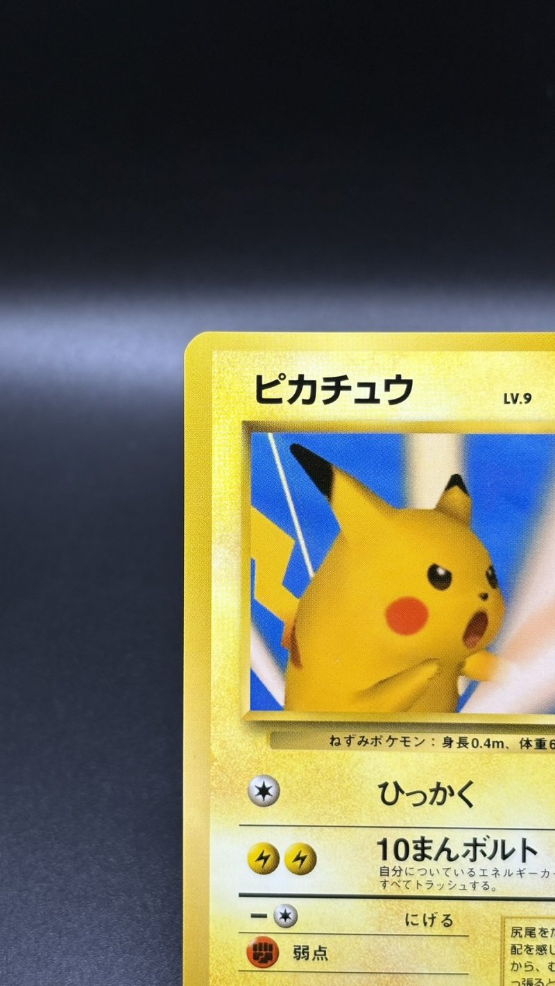 画像2: 【厳選素体】ピカチュウ ポケモンスナップ（状態B+） (2)