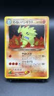 画像1: 【厳選素体】わるいバンギラス（状態A） (1)
