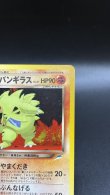 画像3: 【厳選素体】わるいバンギラス（状態A） (3)