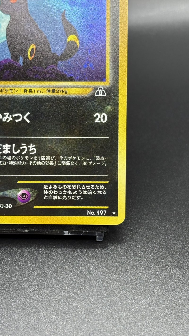 画像5: 【厳選素体】ブラッキー（状態B） (5)