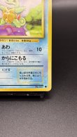 画像5: 【厳選素体】ゼニガメ（状態A-） (5)