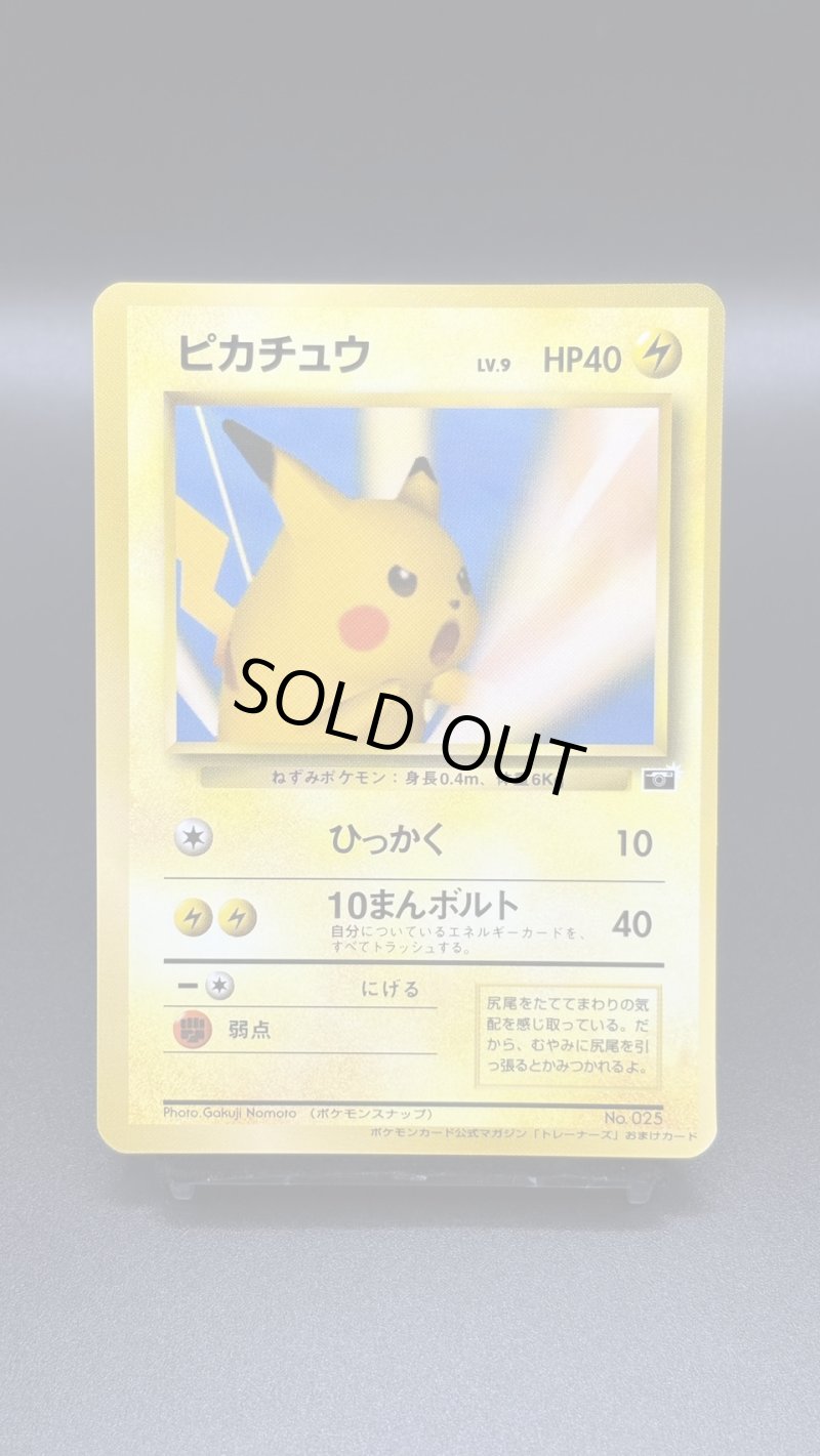 画像1: 【厳選素体】ピカチュウ ポケモンスナップ（状態B+） (1)