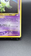 画像5: 【厳選素体】セレビィ（状態A-） (5)