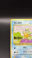 画像2: 【厳選素体】ゼニガメ（状態A-） (2)