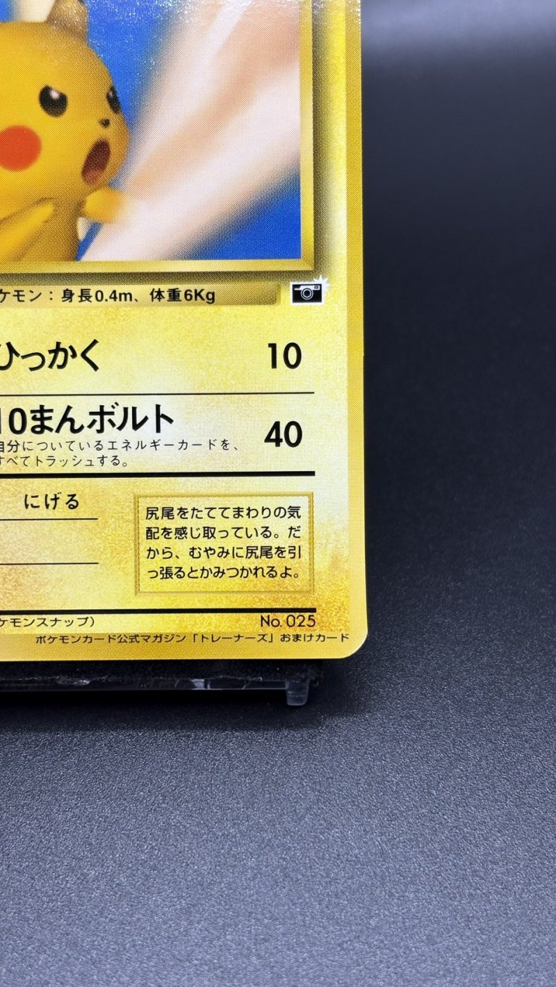 画像5: 【厳選素体】ピカチュウ ポケモンスナップ（状態B+） (5)