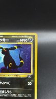 画像3: 【厳選素体】ブラッキー（状態B） (3)