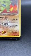 画像5: 【厳選素体】わるいバンギラス（状態A） (5)