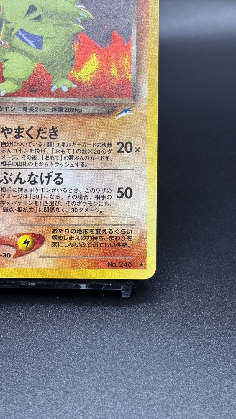 画像5: 【厳選素体】わるいバンギラス（状態A） (5)