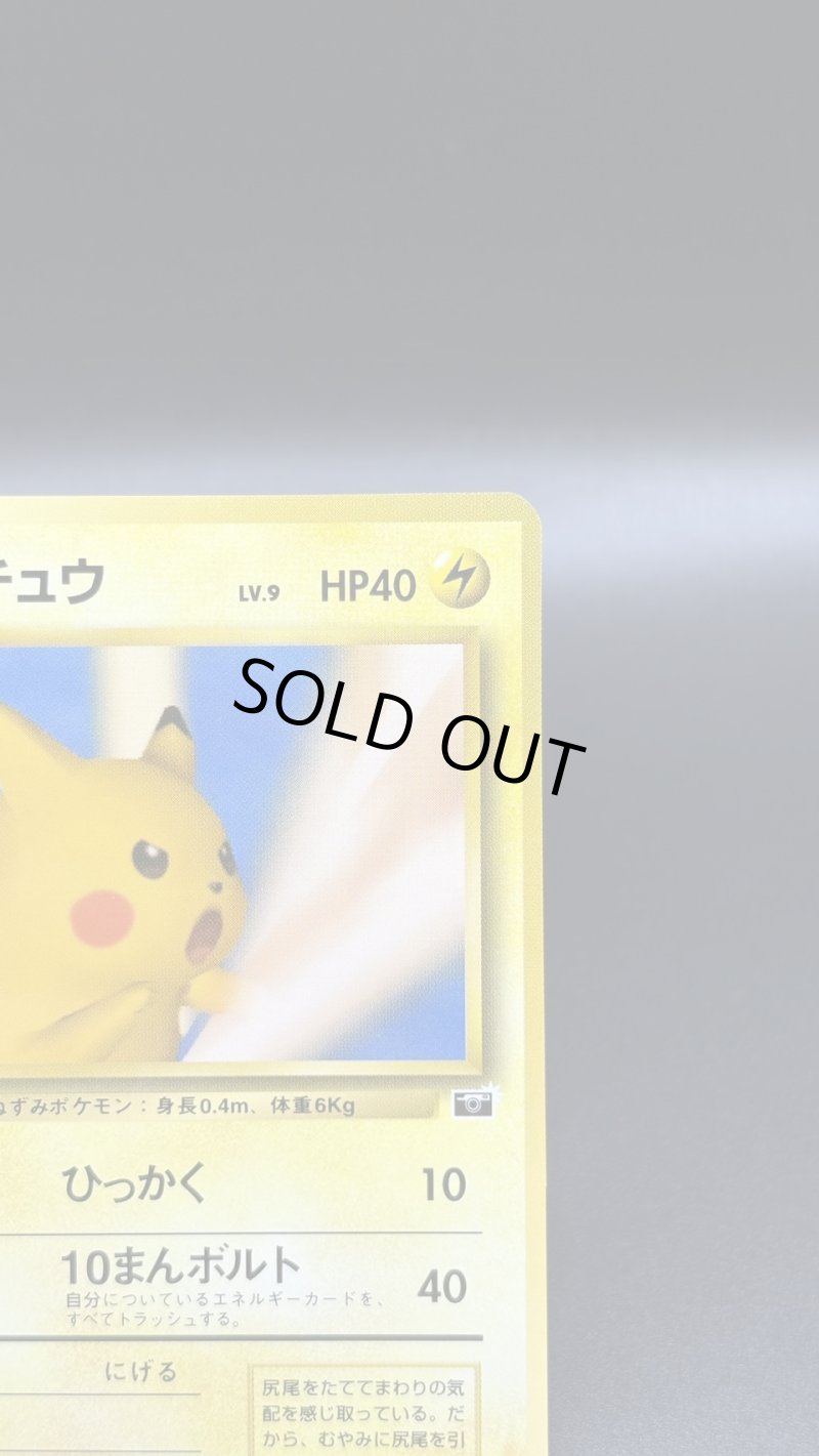 画像3: 【厳選素体】ピカチュウ ポケモンスナップ（状態B+） (3)