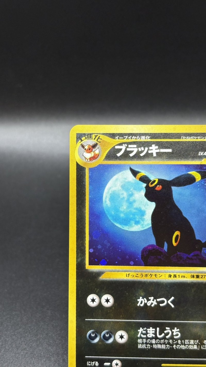 画像2: 【厳選素体】ブラッキー（状態B） (2)