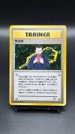 画像1: 【厳選素体】サカキ（状態A-） (1)