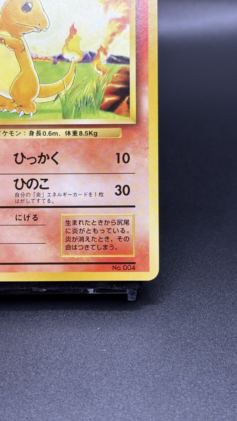画像5: 【厳選素体】ヒトカゲ 初版（状態A-） (5)