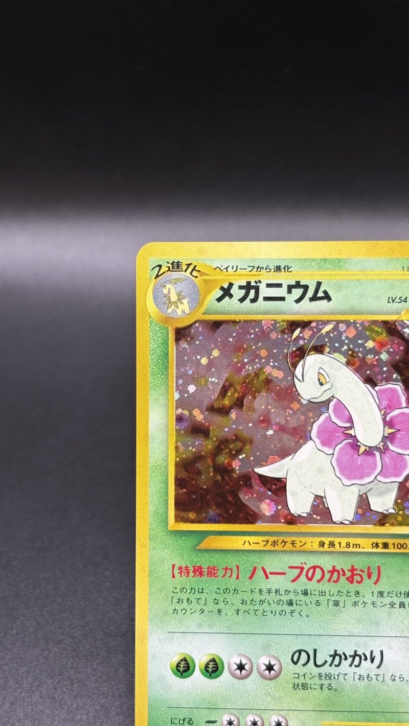 画像2: 【厳選素体】メガニウム（状態A-） (2)