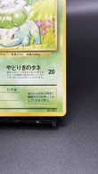 画像5: 【厳選素体】フシギダネ 初版（状態A-） (5)