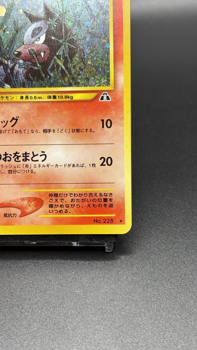 画像5: 【厳選素体】デルビル（状態A-） (5)