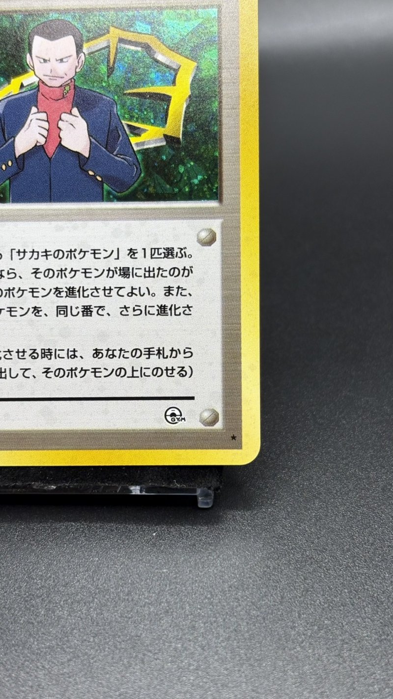 画像5: 【厳選素体】サカキ（状態A-） (5)