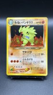 画像1: 【厳選素体】わるいバンギラス（状態A-） (1)