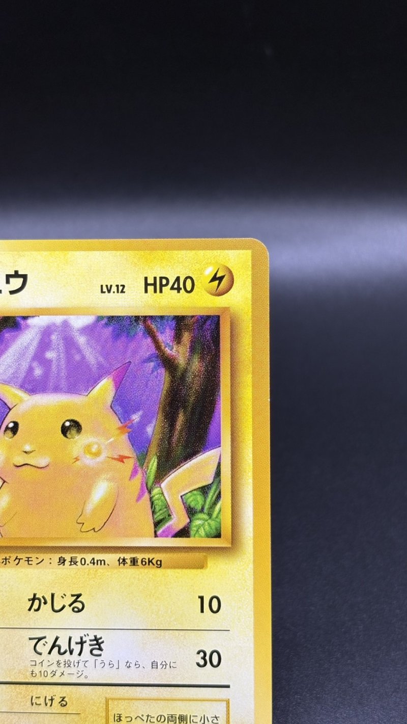 画像3: 【厳選素体】ピカチュウ（状態A） (3)