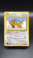 画像1: 【厳選素体】カイリュー ANAプロモ（状態A-） (1)