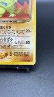 画像5: 【厳選素体】わるいバンギラス（状態A-） (5)