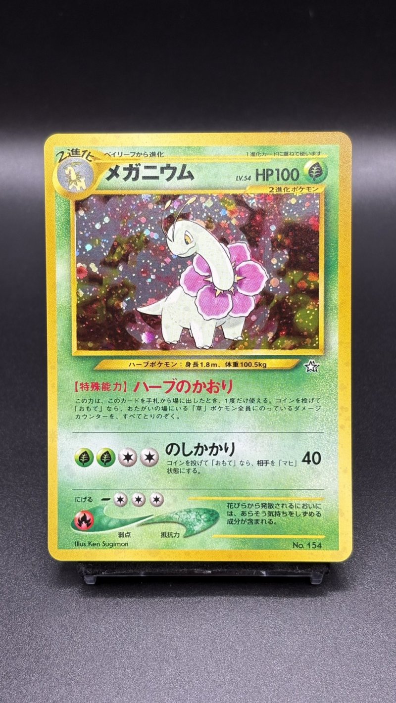 画像1: 【厳選素体】メガニウム（状態A-） (1)