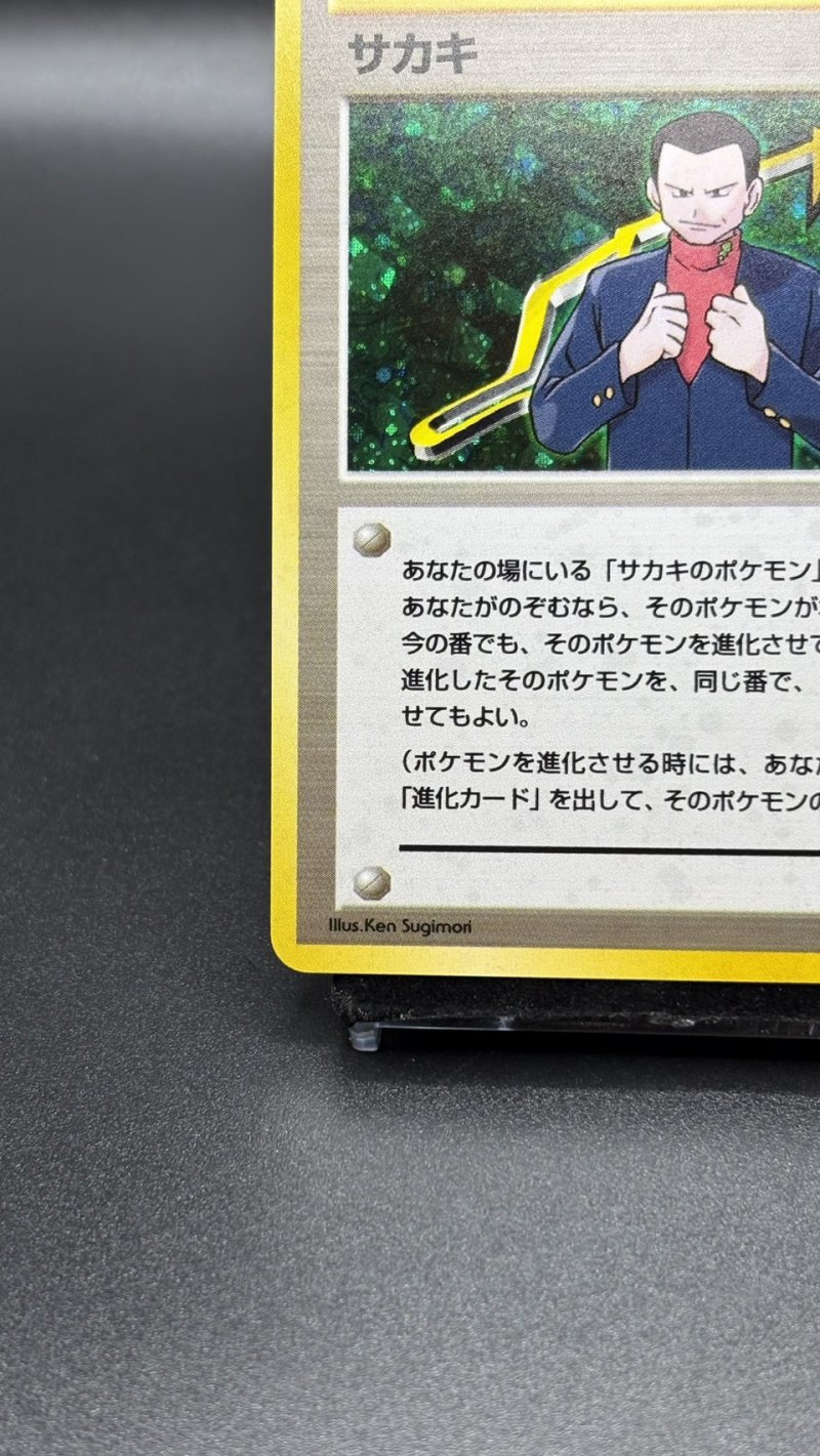 画像4: 【厳選素体】サカキ（状態A-） (4)