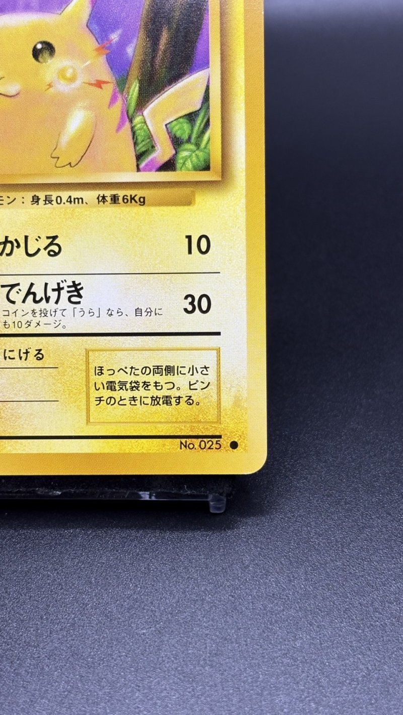 画像5: 【厳選素体】ピカチュウ（状態A） (5)