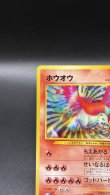 画像2: 【厳選素体】ホウオウ（状態B+） (2)