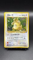 画像1: 【厳選素体】ガルーラ（状態A） (1)
