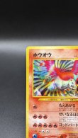 画像2: 【厳選素体】ホウオウ（状態A-） (2)