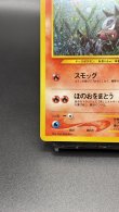画像4: 【厳選素体】デルビル（状態A-） (4)