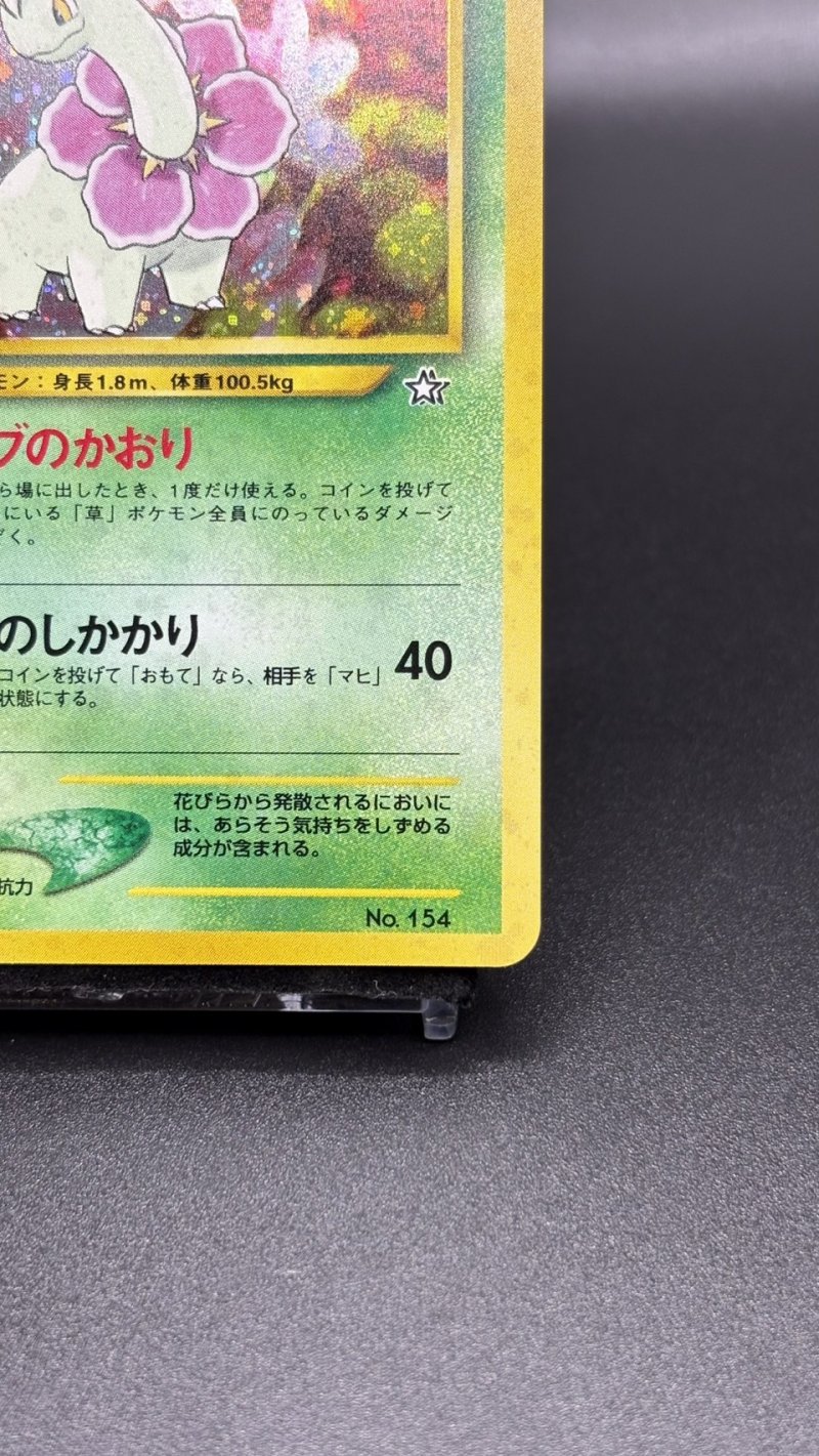 画像5: 【厳選素体】メガニウム（状態A-） (5)