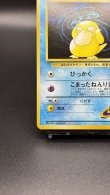 画像4: 【厳選素体】ナツメのコダック（状態A-） (4)
