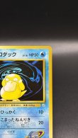 画像3: 【厳選素体】ナツメのコダック（状態A-） (3)