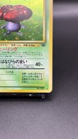 画像5: 【厳選素体】ラフレシア（状態B+） (5)