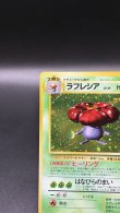 画像2: 【厳選素体】ラフレシア（状態B+） (2)