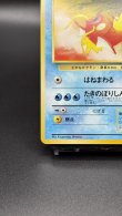 画像4: 【厳選素体】コイキング（状態A-） (4)