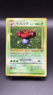 画像1: 【厳選素体】ラフレシア（状態B+） (1)