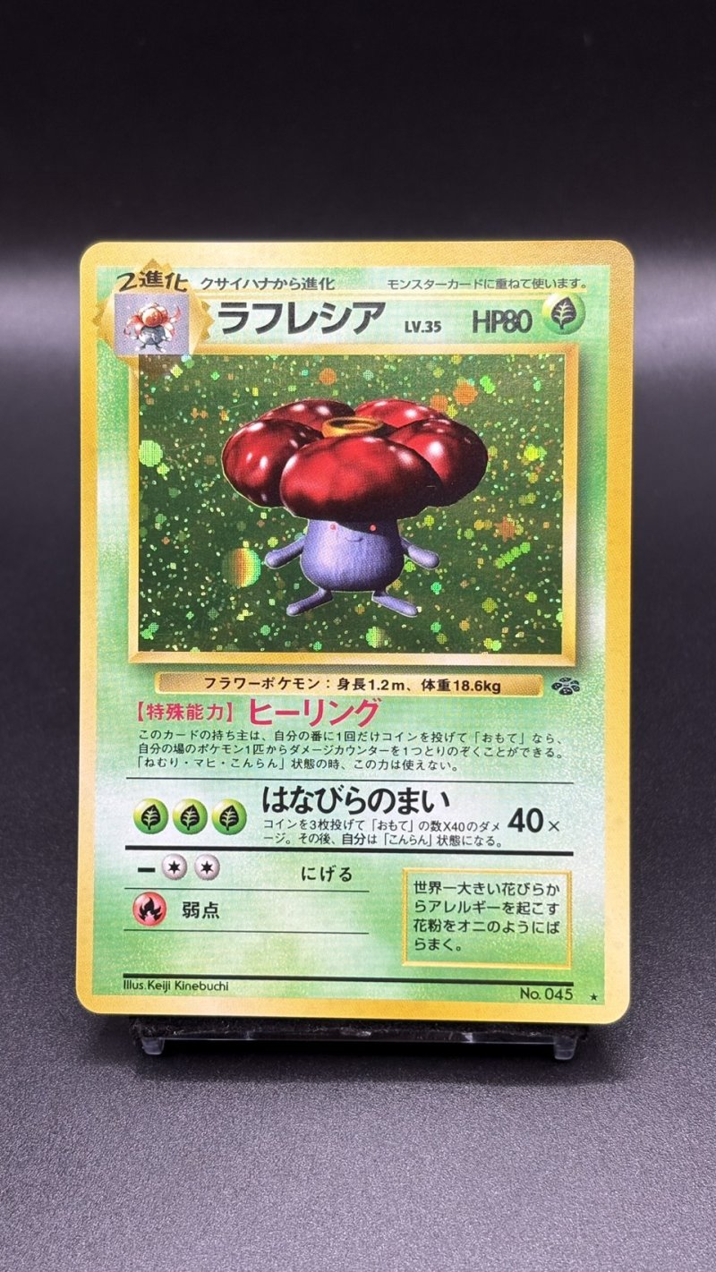 画像1: 【厳選素体】ラフレシア（状態B+） (1)