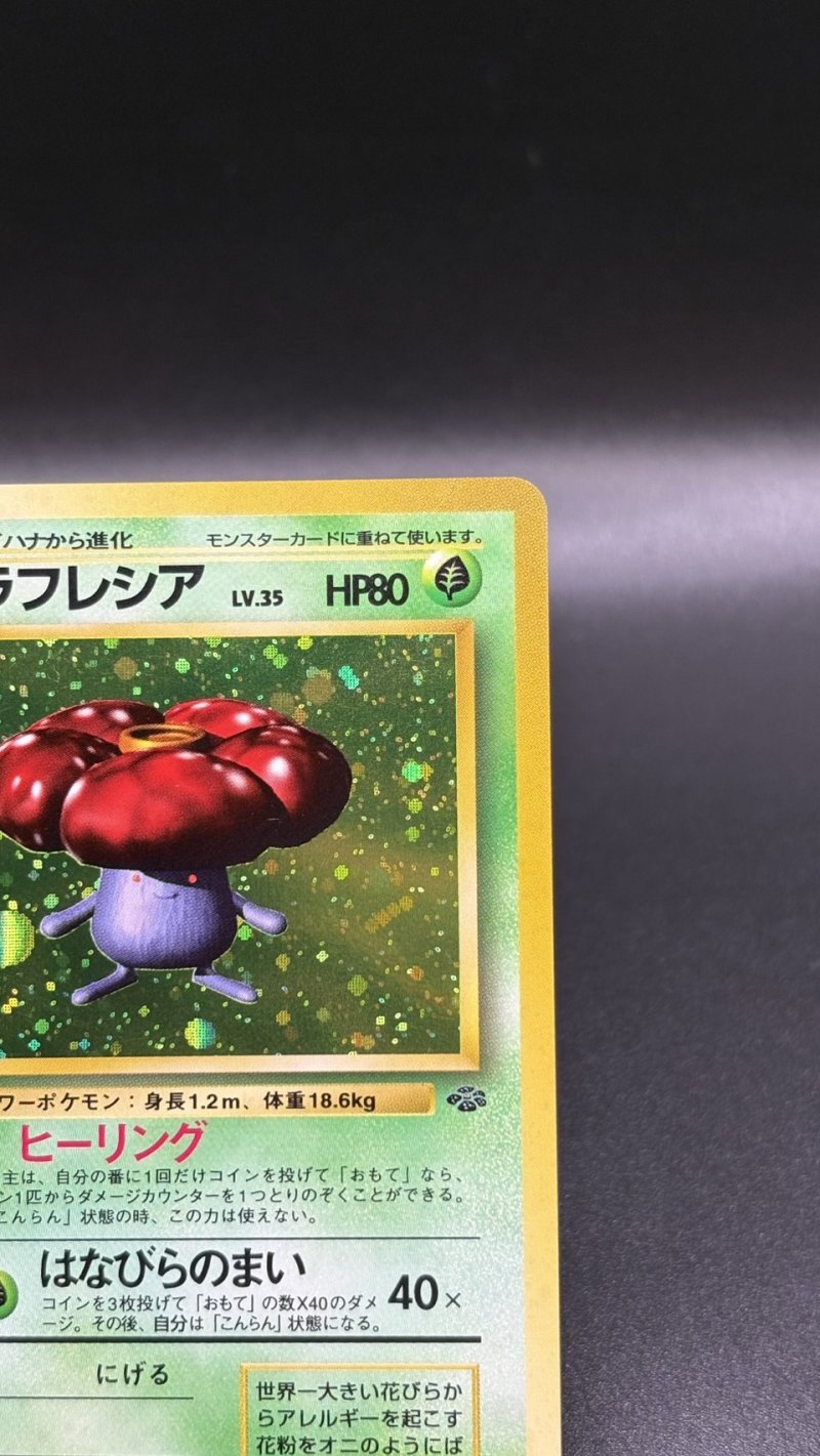 画像3: 【厳選素体】ラフレシア（状態B+） (3)
